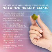 60 Light-emitting Seaweed Soft Candy